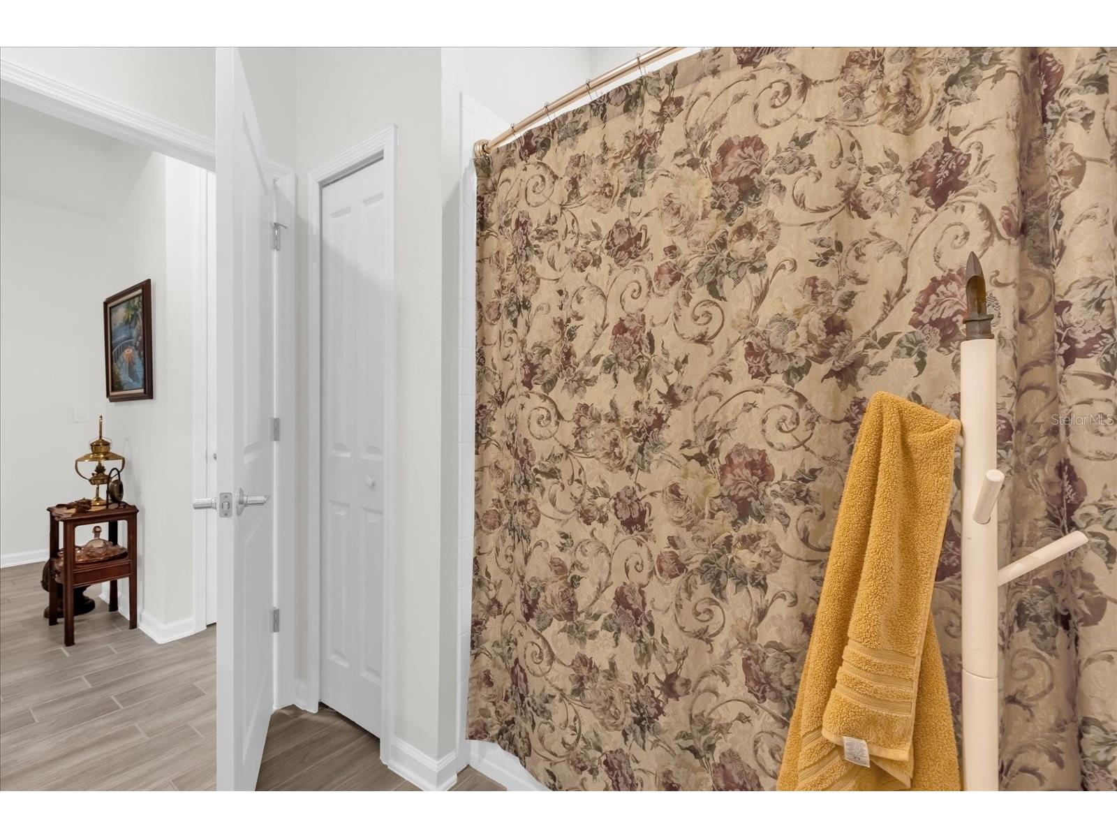 33655 Sky Blossom Circle Leesburg FL 34788 O6388763 image23
