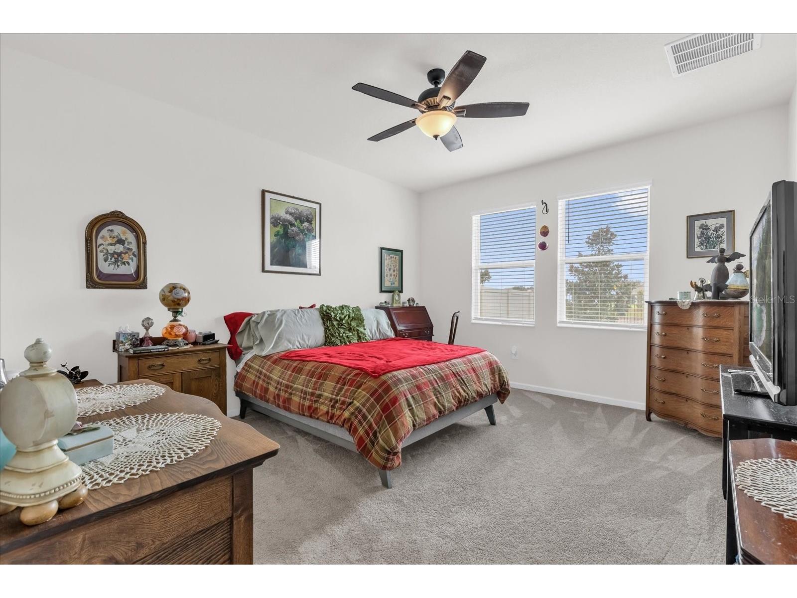 33655 Sky Blossom Circle Leesburg FL 34788 O6388763 image28