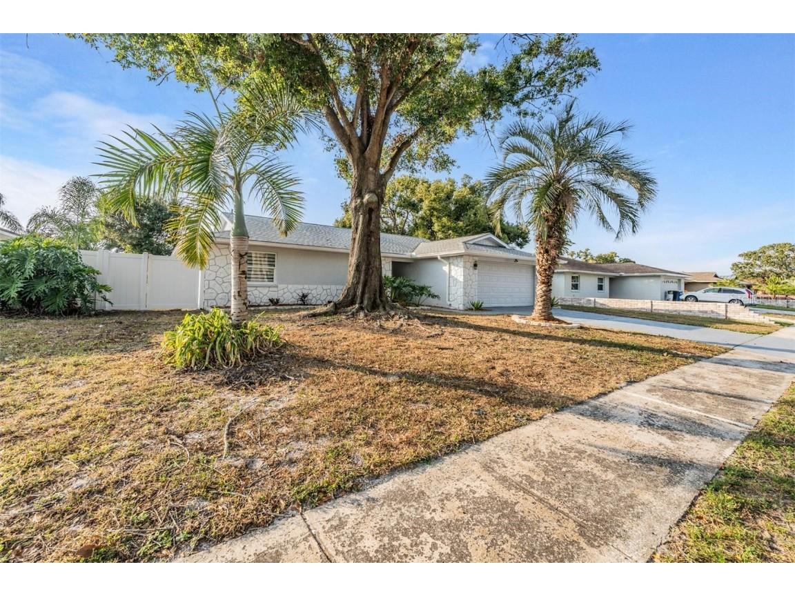 3366 Fox Hill Drive Clearwater FL 33761 TB8449733 image4