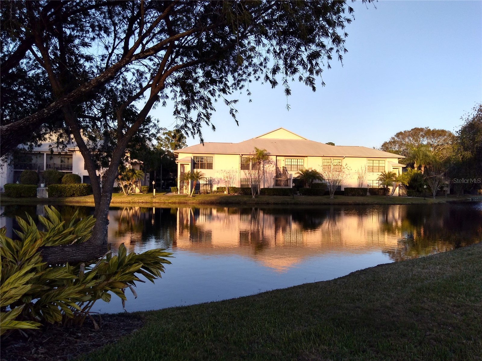 3366 Mermoor Drive #206 Palm Harbor FL 34685 O6423866 image1