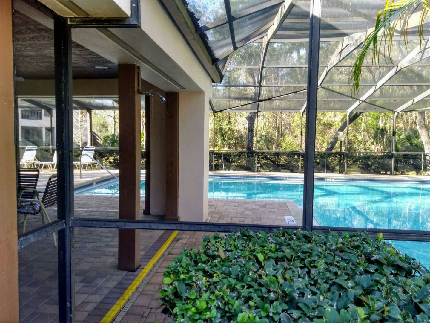 3366 Mermoor Drive #206 Palm Harbor FL 34685 O6423866 image11