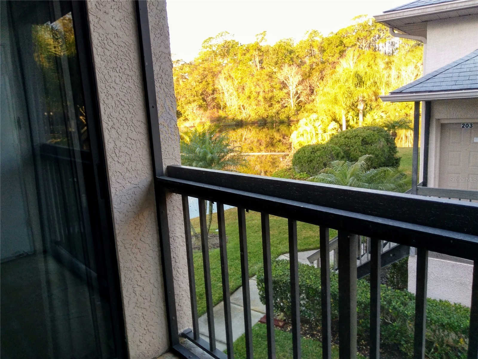 3366 Mermoor Drive #206 Palm Harbor FL 34685 O6423866 image9