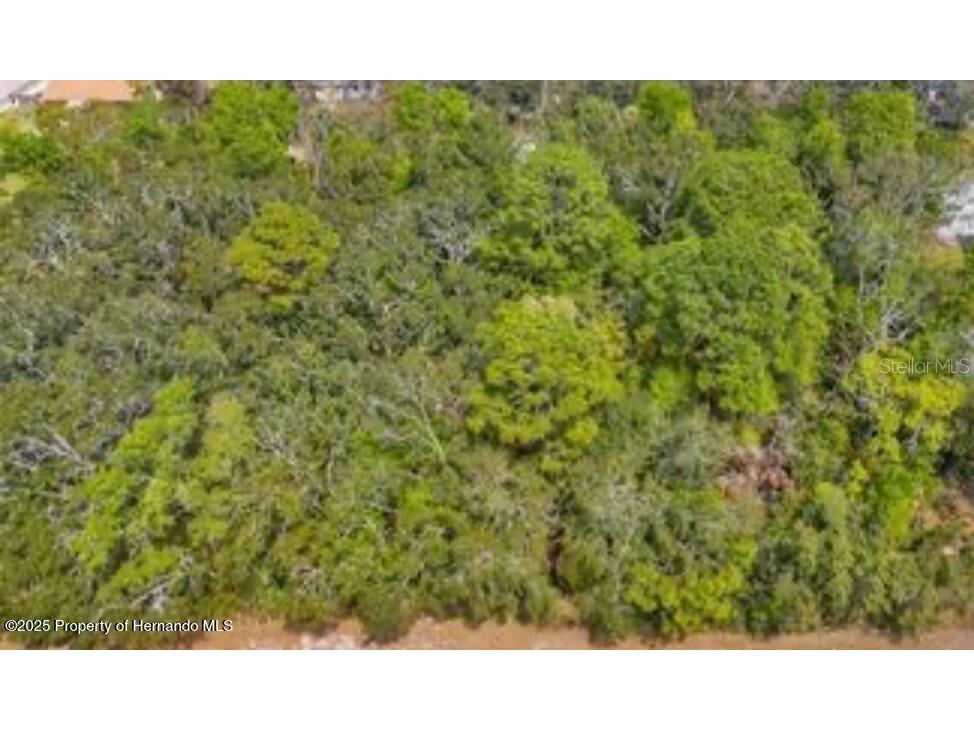 3366 N Annapolis Avenue Hernando FL 34442 TB8484966 image1
