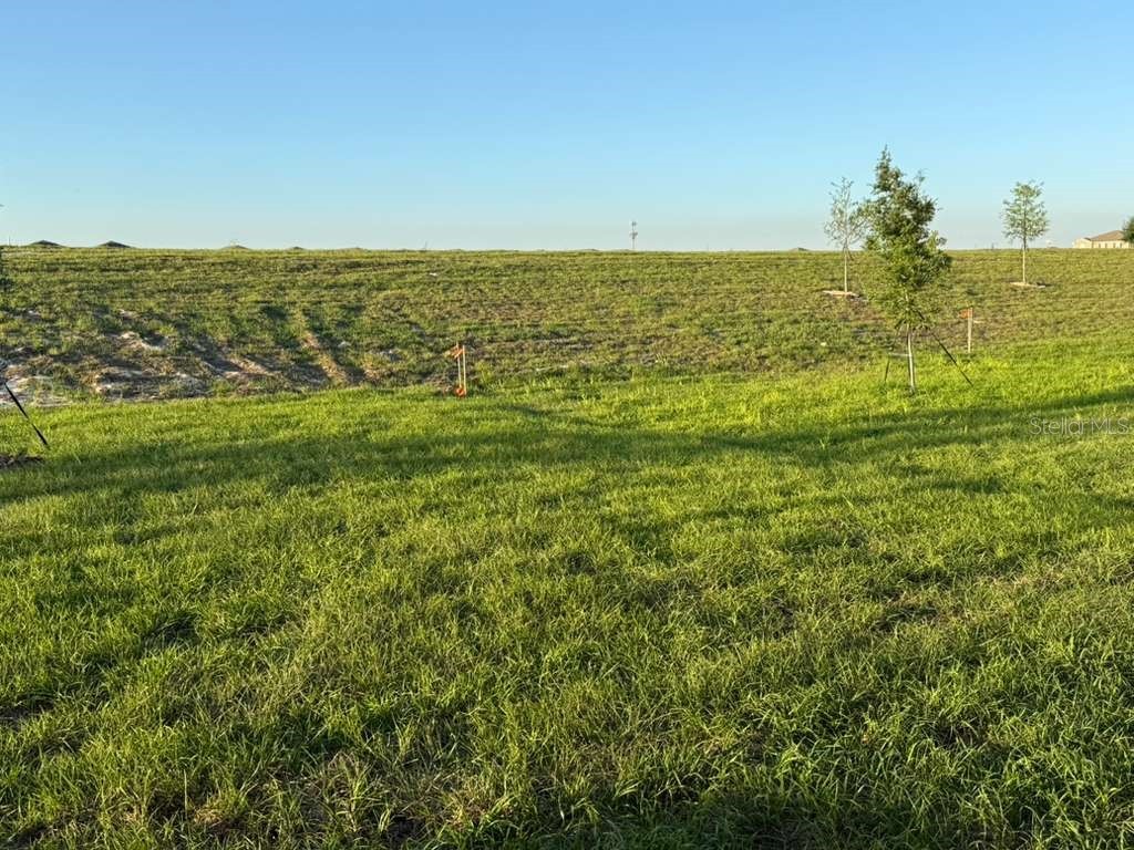 3367 Alexander Drive Lake Wales FL 33853 S5148131 image21