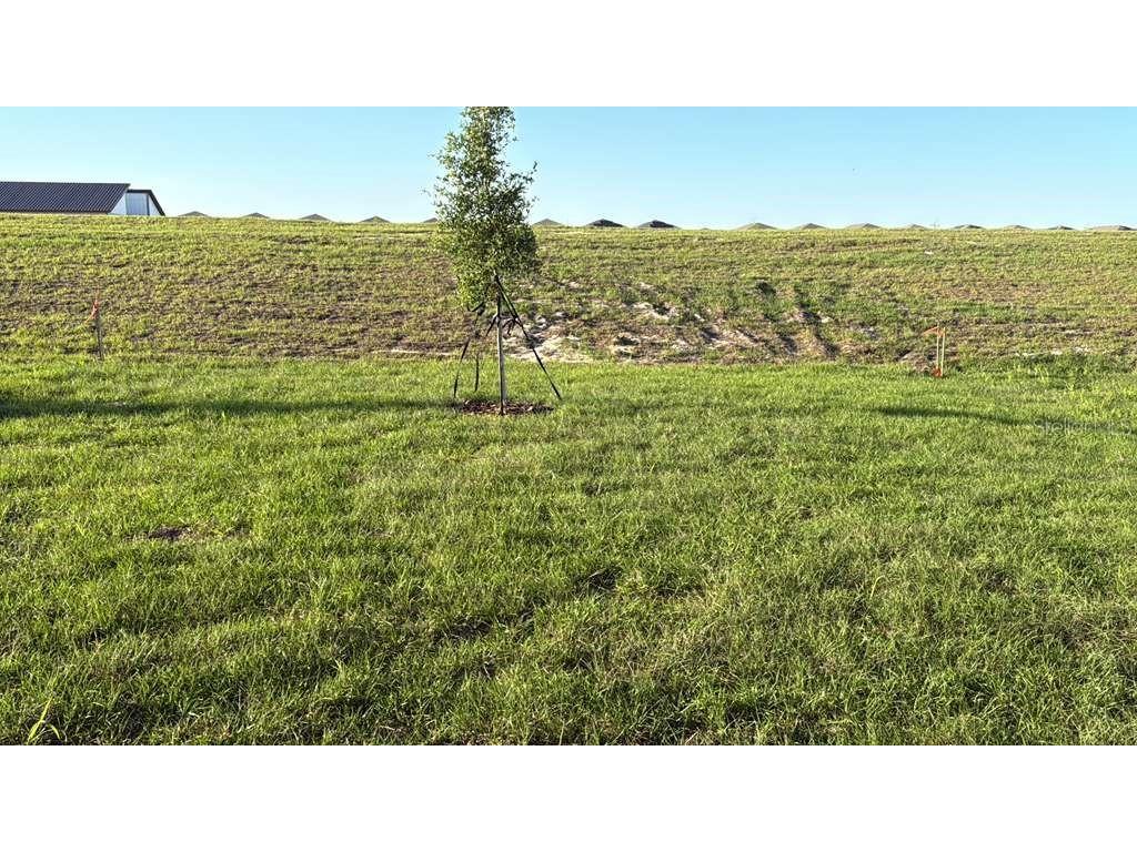 3367 Alexander Drive Lake Wales FL 33853 S5148131 image22