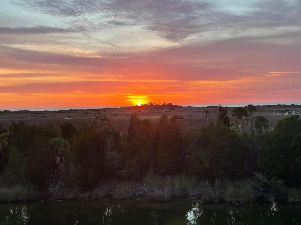 3367 Bluefish Drive Hernando Beach FL 34607 - GULF OF MEXICO O6169066 image1