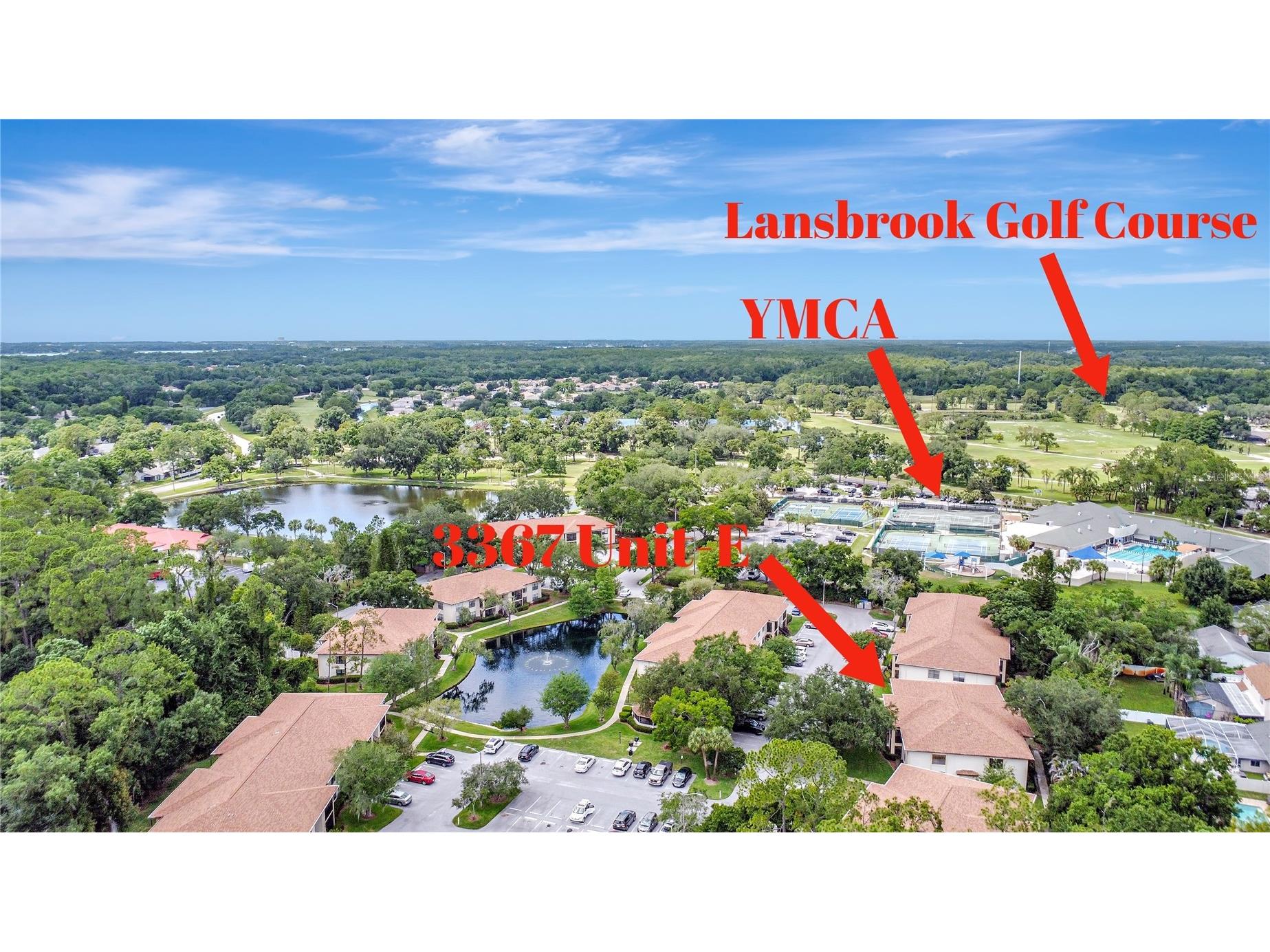 3367 Crystal Court E #E Palm Harbor FL 34685 TB8515130 image23