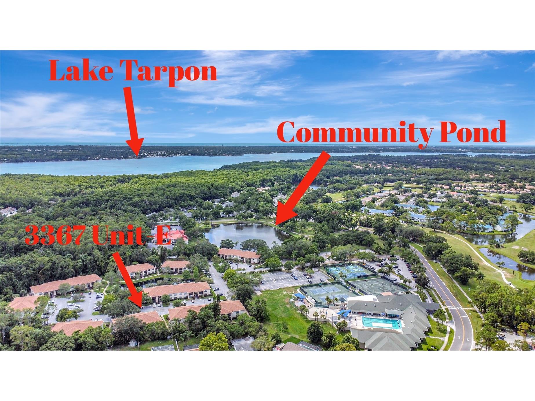 3367 Crystal Court E #E Palm Harbor FL 34685 TB8515130 image24
