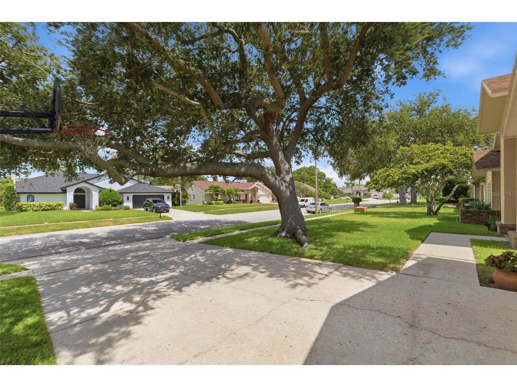 3367 E Lake Shore Lane Clearwater FL 33761 TB8526219 image46