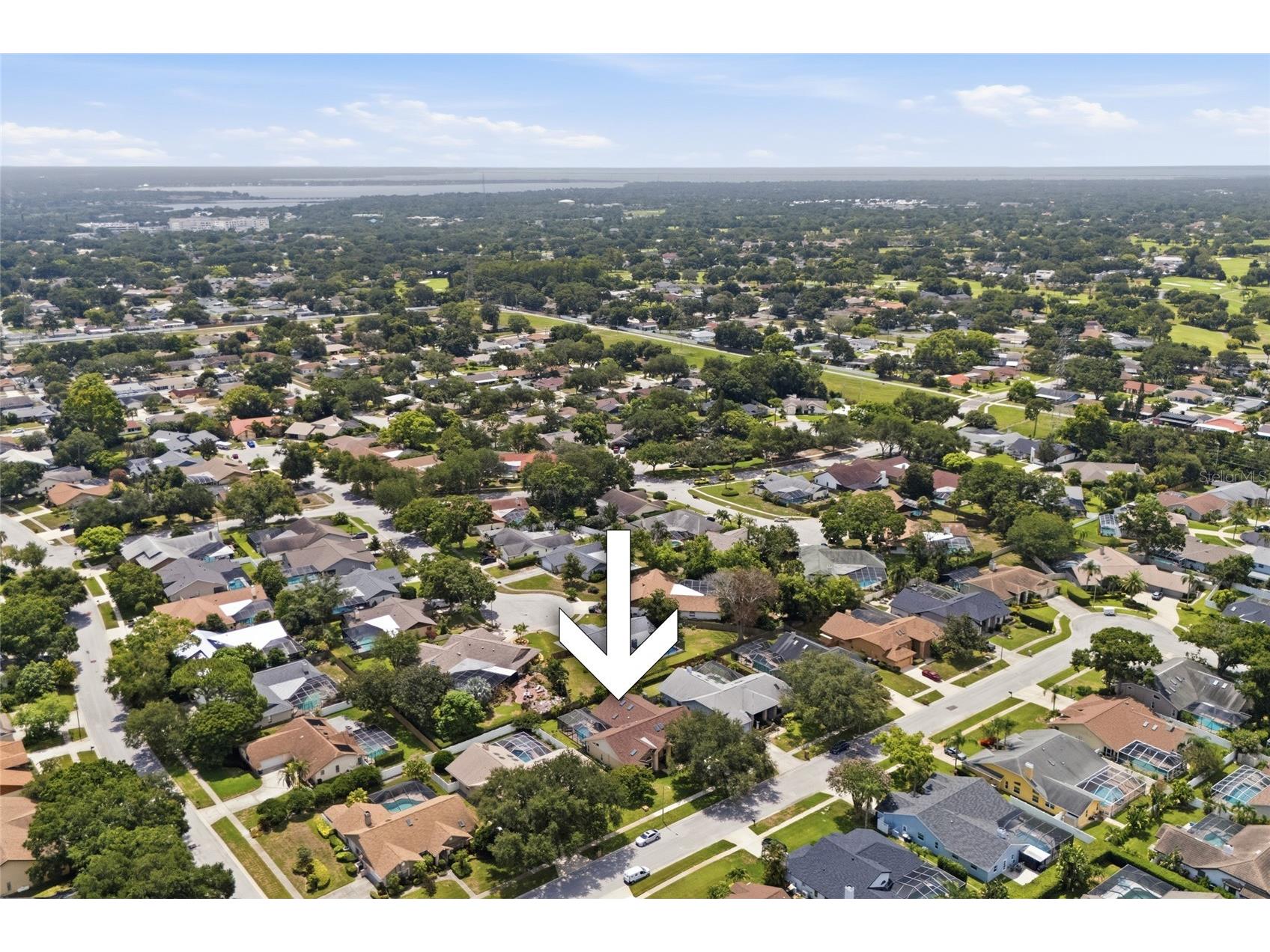 3367 E Lake Shore Lane Clearwater FL 33761 TB8526219 image53