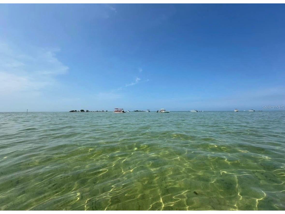 3367 Jewfish Drive Hernando Beach FL 34607 L4958387 image6