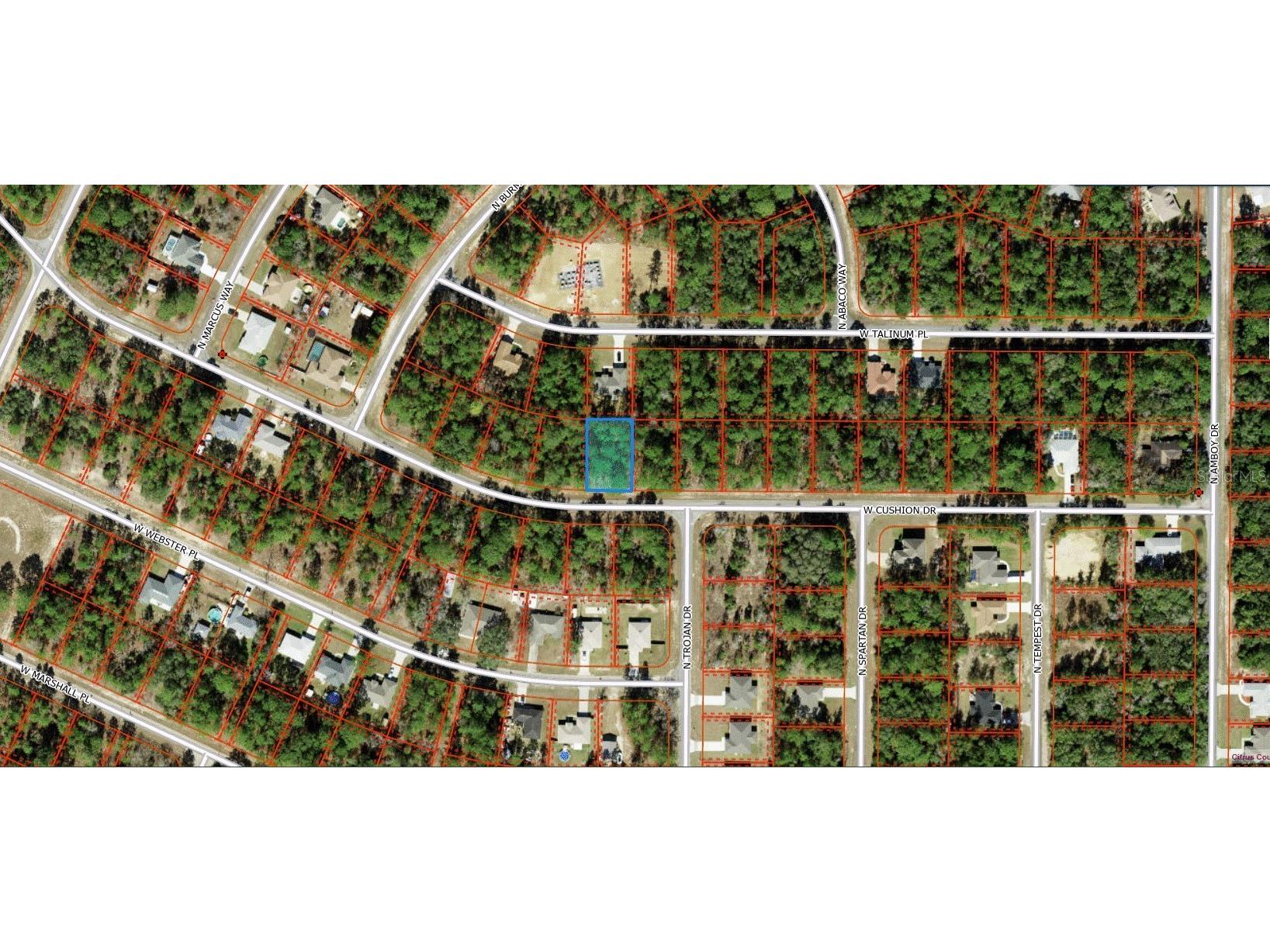 3369 W Cushion Drive Citrus Springs FL 34433 D6143059 image1