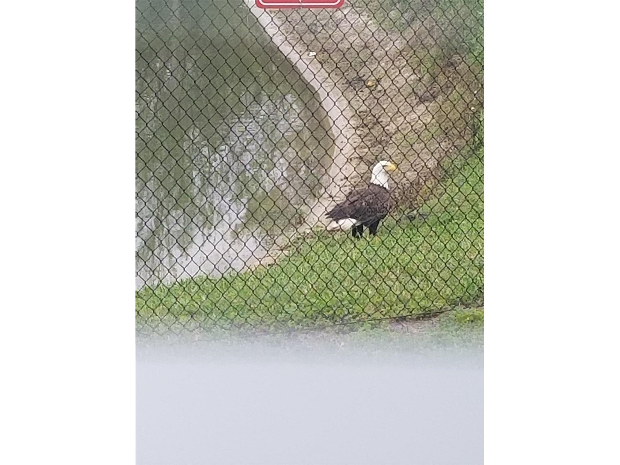 337 Bella Rosa Circle Sanford FL 32771 O6377357 image22