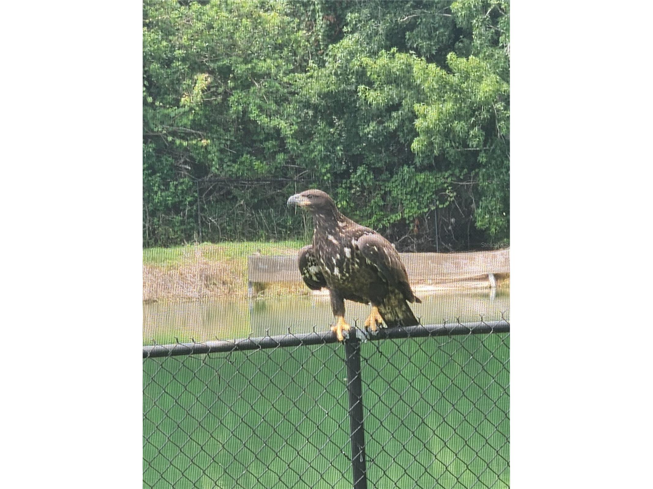 337 Bella Rosa Circle Sanford FL 32771 O6377357 image23