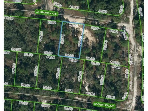 337 Catamaran Avenue Lake Placid FL 33852 OM621044 image1