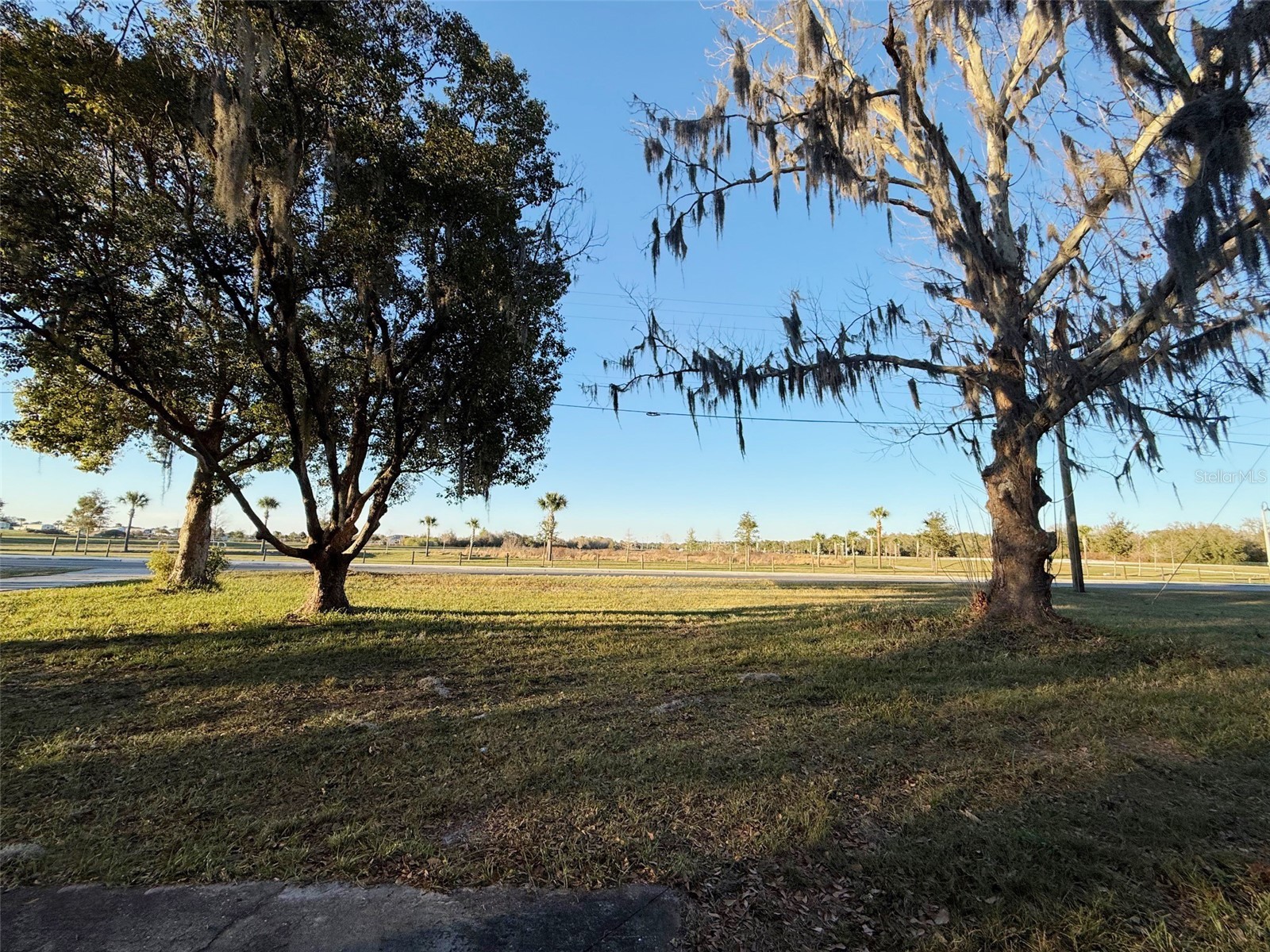 337 Denton Avenue Auburndale FL 33823 L4959706 image2