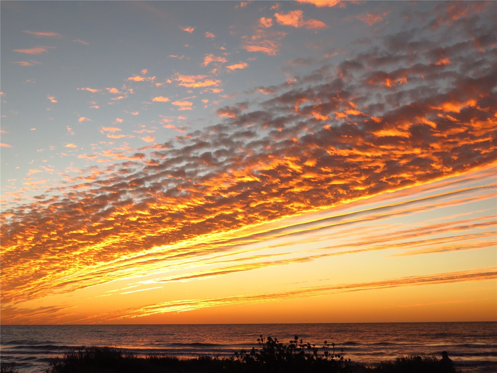 337 Harbor Drive S Venice FL 34285 N6143081 image47