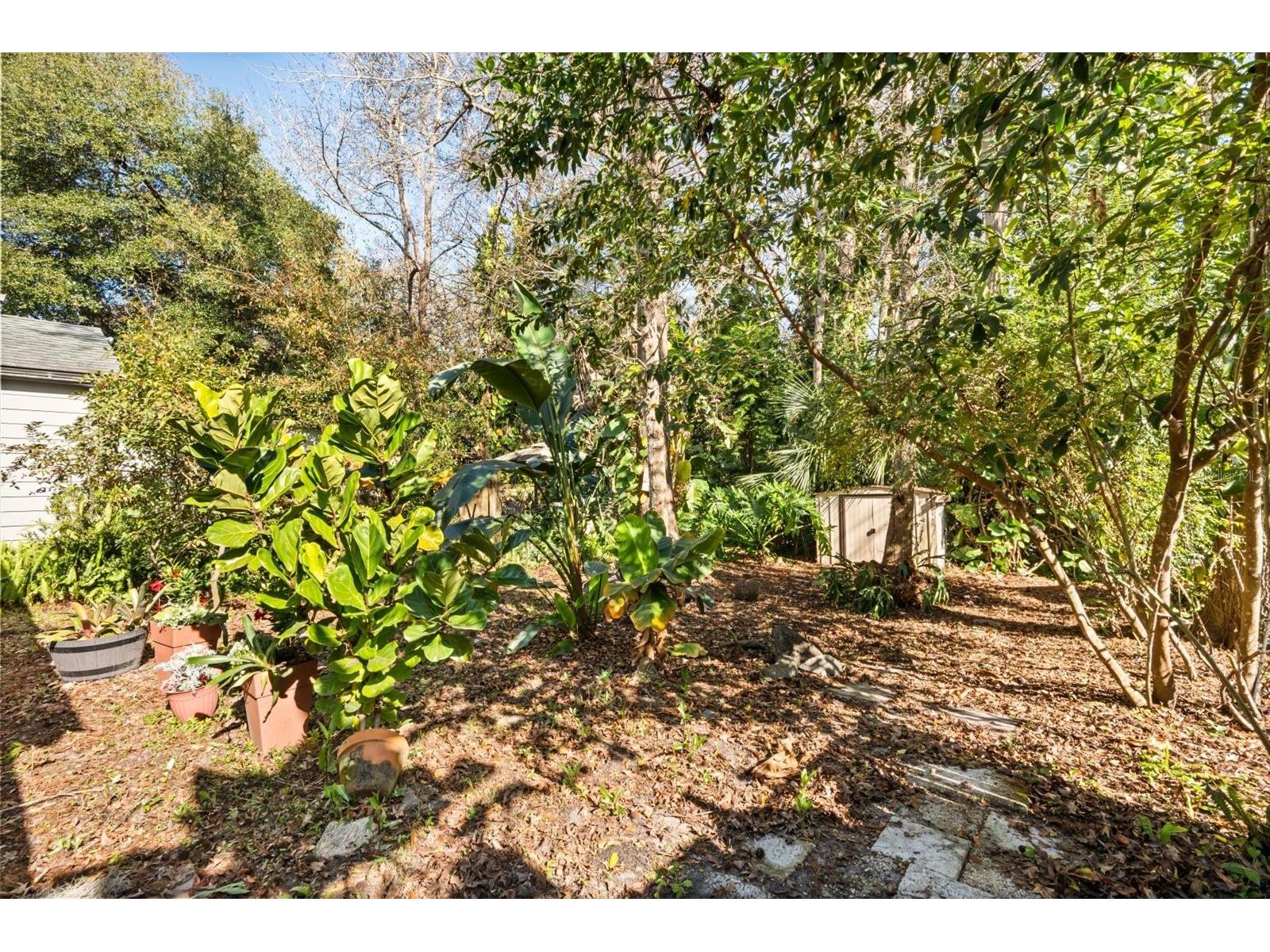 337 Kirkcaldy Drive Winter Springs FL 32708 O6375532 image21