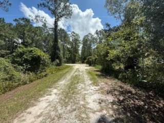 337 Palm Way Georgetown FL 32139 OK225444 image3