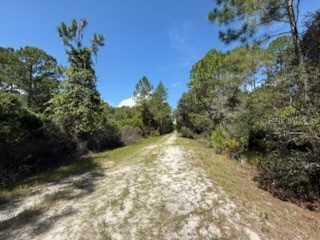 337 Palm Way Georgetown FL 32139 OK225444 image5