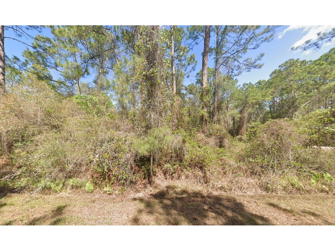 337 Palm Way Georgetown FL 32139 OK225444 image6