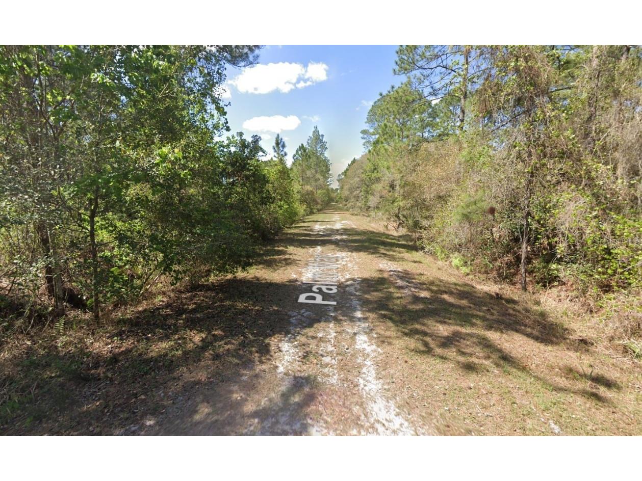 337 Palm Way Georgetown FL 32139 OK225444 image7