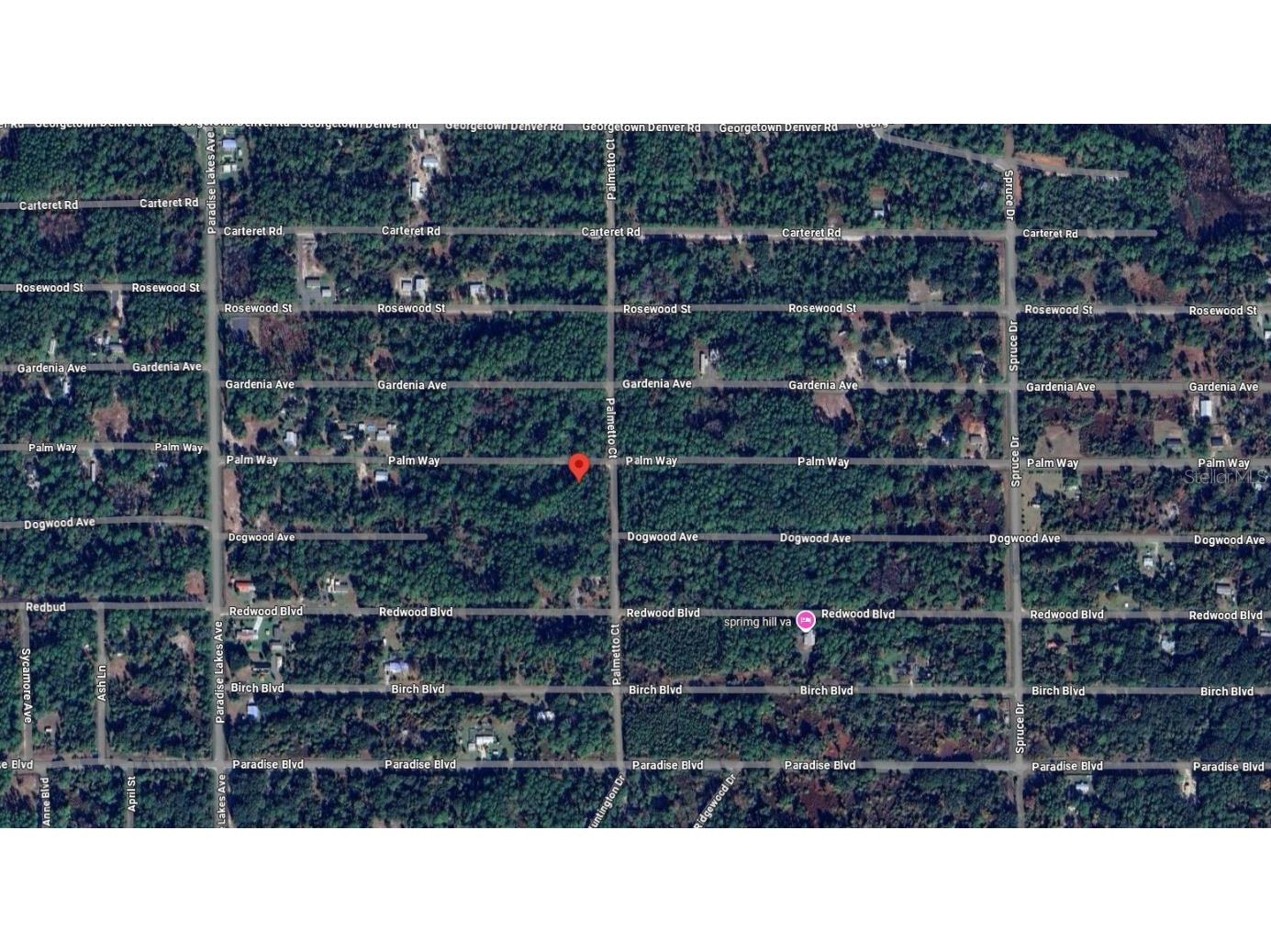 337 Palm Way Georgetown FL 32139 OK225444 image8