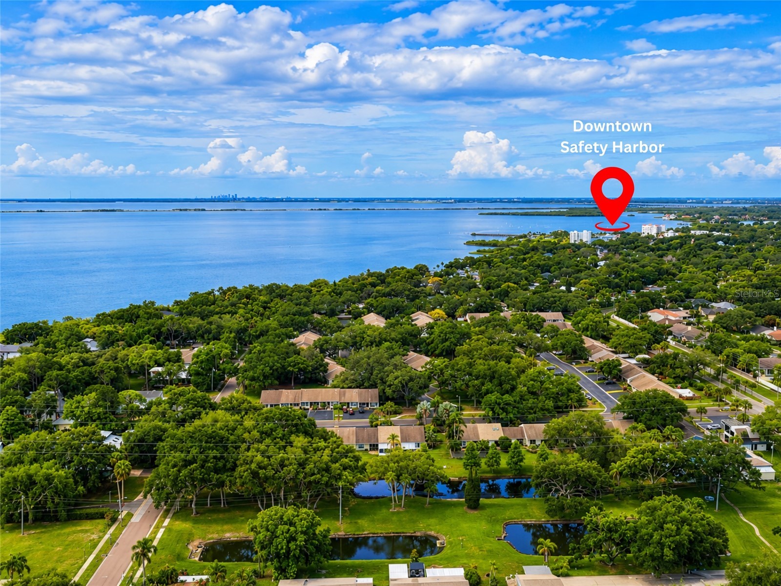 337 Plymouth Street Safety Harbor FL 34695 TB8517813 image37