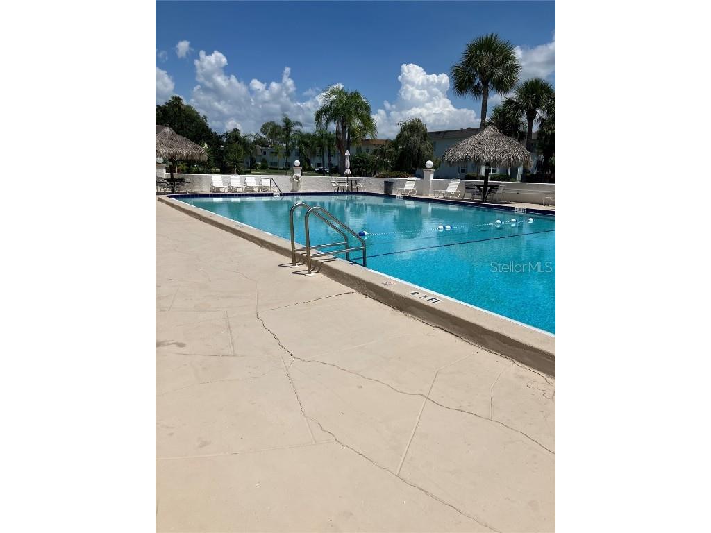 337 S Mcmullen Booth Road #157 Clearwater FL 33759 TB8395041 image27