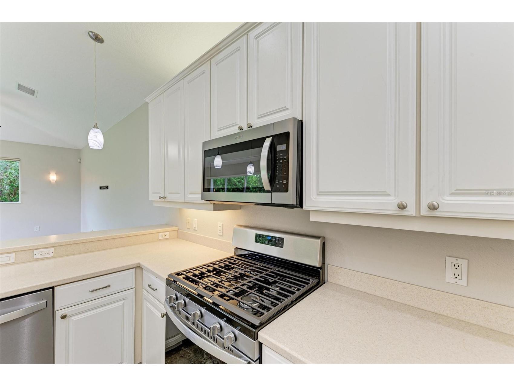 337 Snapdragon Loop Bradenton FL 34212 A4693396 image21