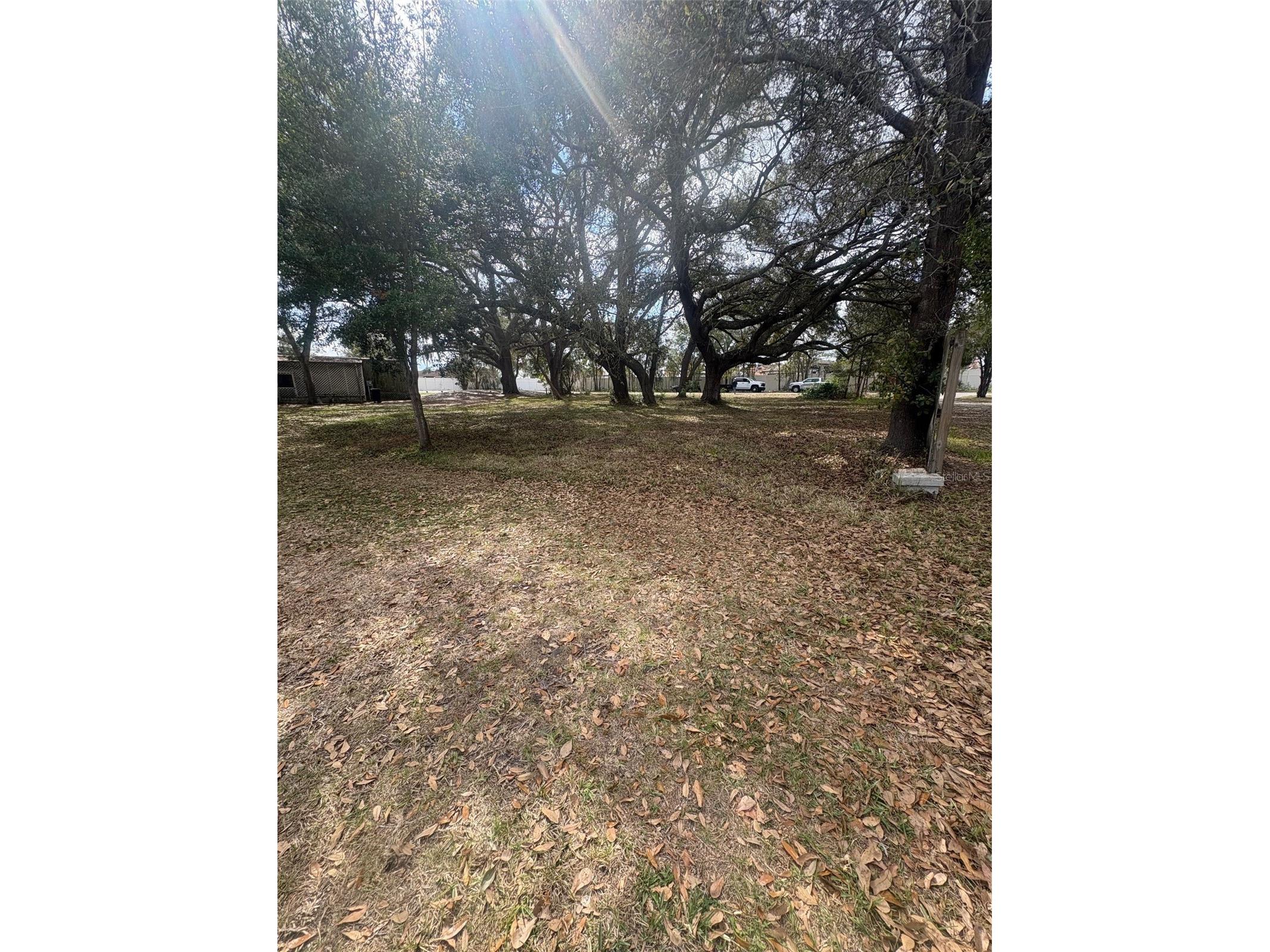 337 Waterview Drive Polk City FL 33868 O6375324 image4