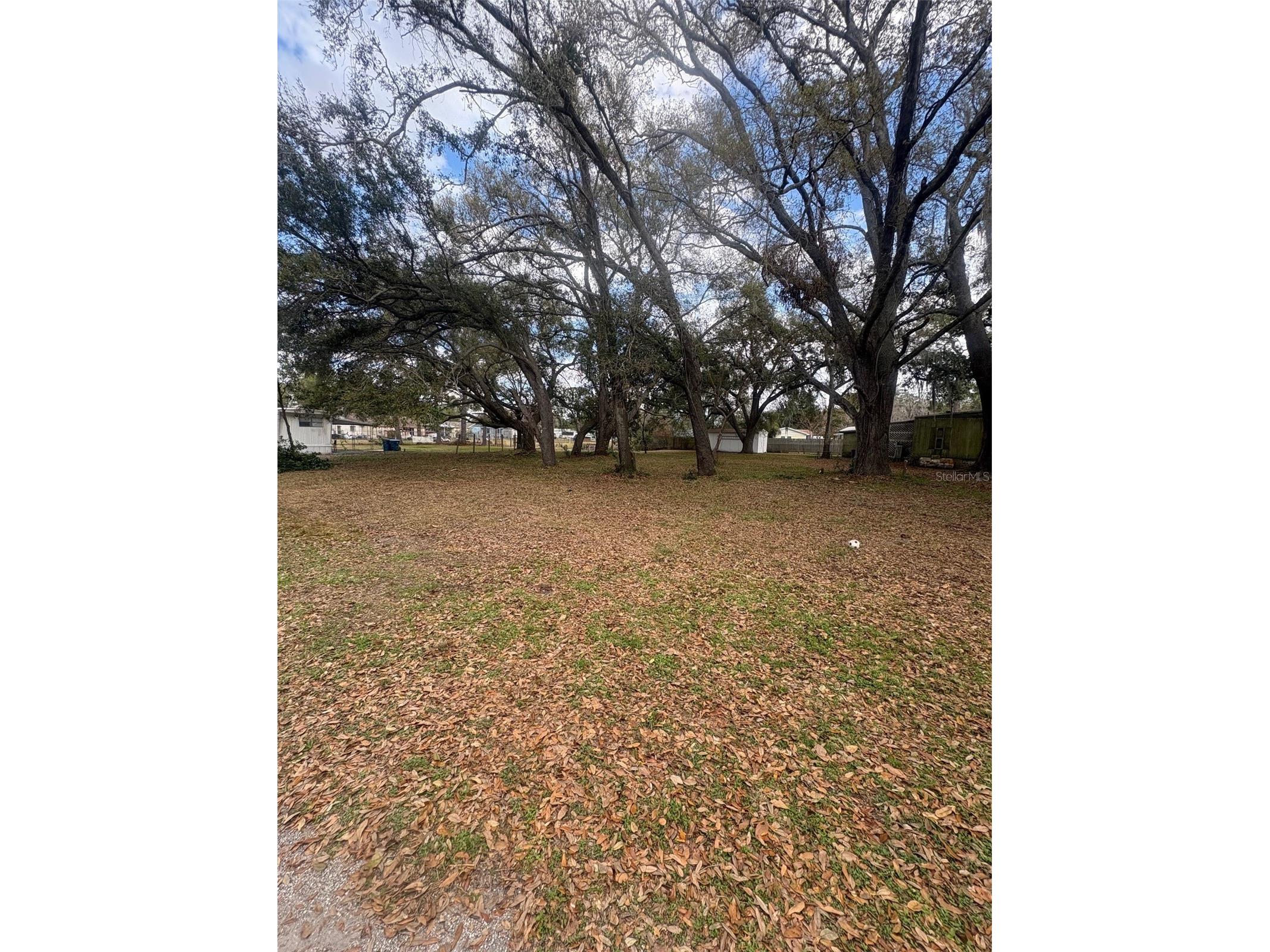 337 Waterview Drive Polk City FL 33868 O6375324 image6