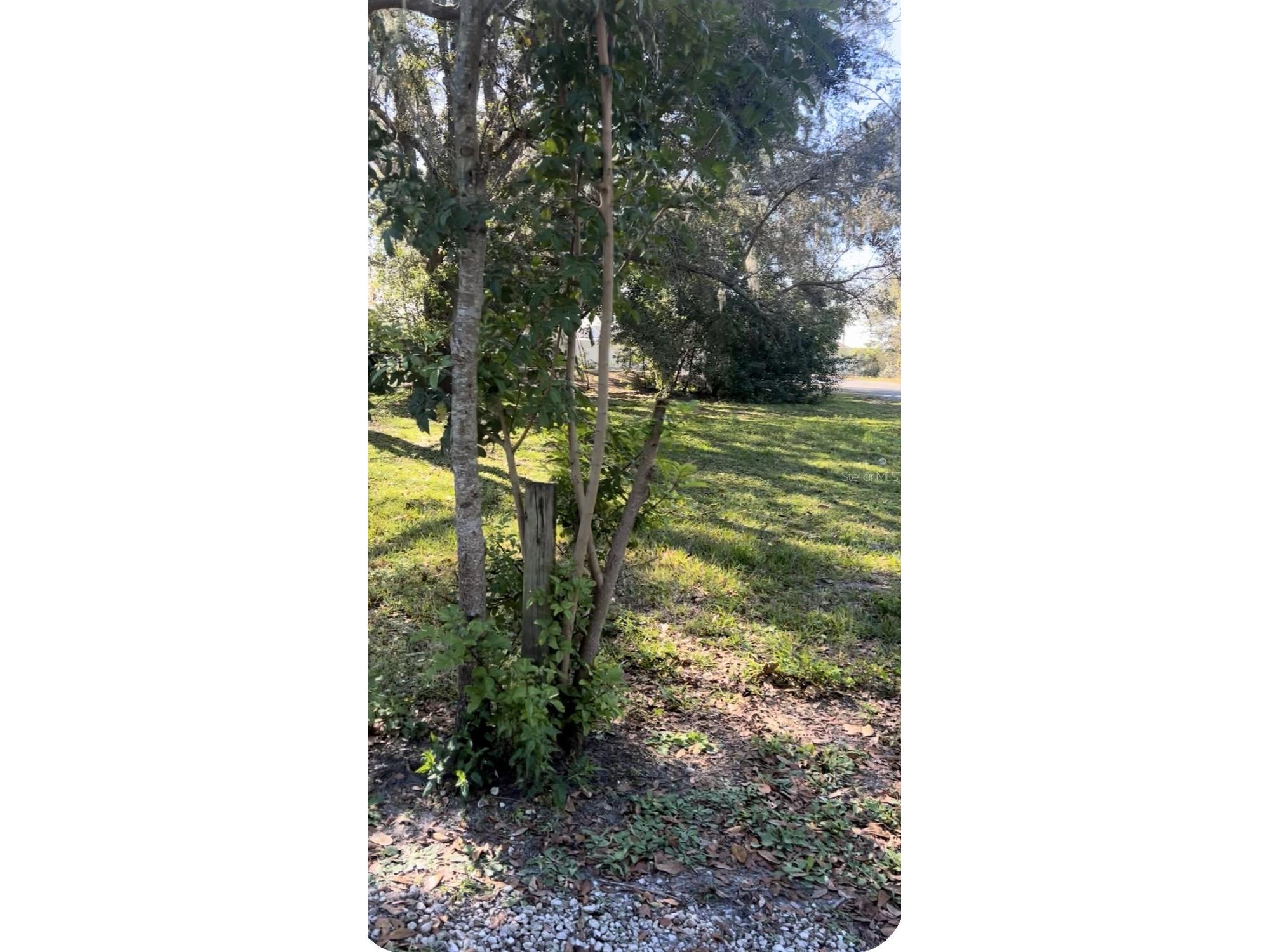 337 Waterview Drive Polk City FL 33868 O6375324 image7