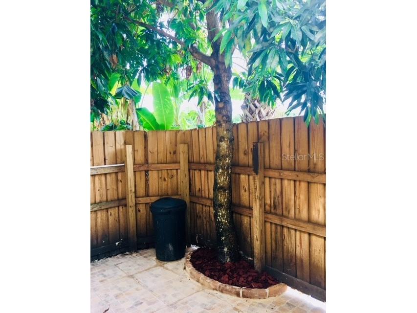 3370 Cedar Springs Place #156 Winter Park FL 32792 O6326460 image21