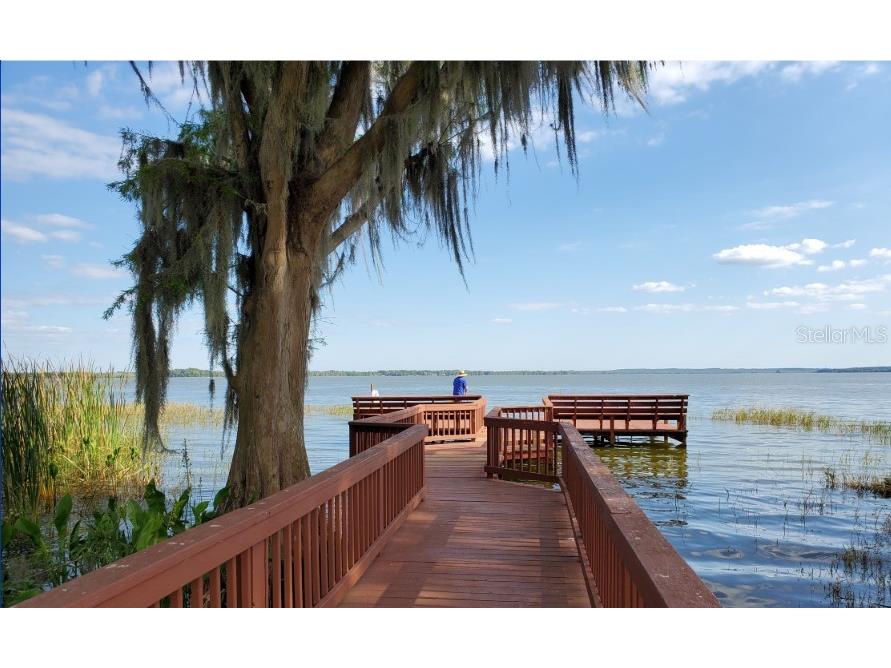 3370 Saint Lucia Court Tavares FL 32778 - HARRIS CHAIN OF LAKES G5106124 image65