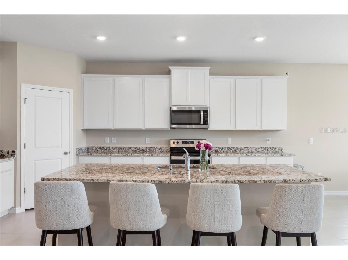 33700 Hamilton Hill Lane Wesley Chapel FL 33545 TB8452949 image14