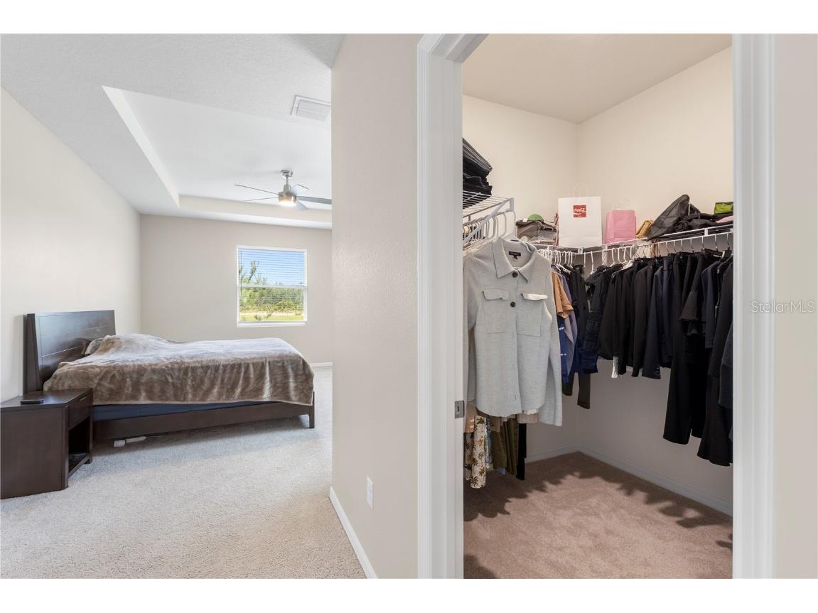 33700 Hamilton Hill Lane Wesley Chapel FL 33545 TB8452949 image21