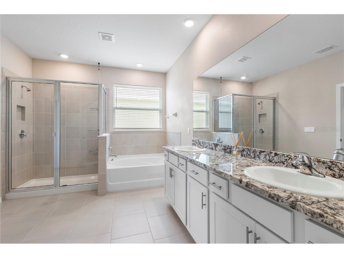 33700 Hamilton Hill Lane Wesley Chapel FL 33545 TB8452949 image23