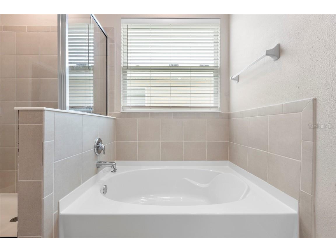 33700 Hamilton Hill Lane Wesley Chapel FL 33545 TB8452949 image24