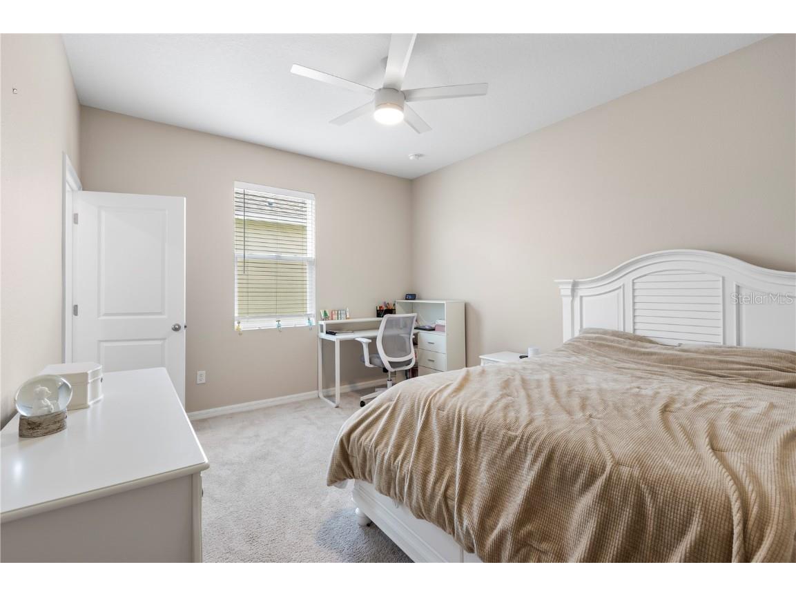 33700 Hamilton Hill Lane Wesley Chapel FL 33545 TB8452949 image26