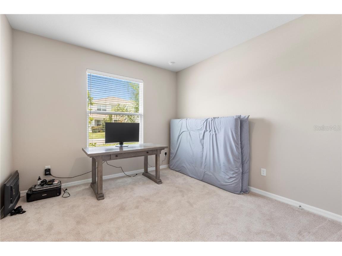 33700 Hamilton Hill Lane Wesley Chapel FL 33545 TB8452949 image30