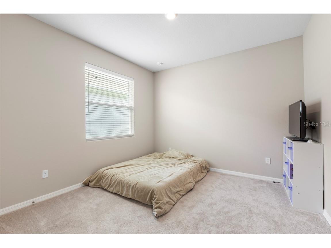 33700 Hamilton Hill Lane Wesley Chapel FL 33545 TB8452949 image32