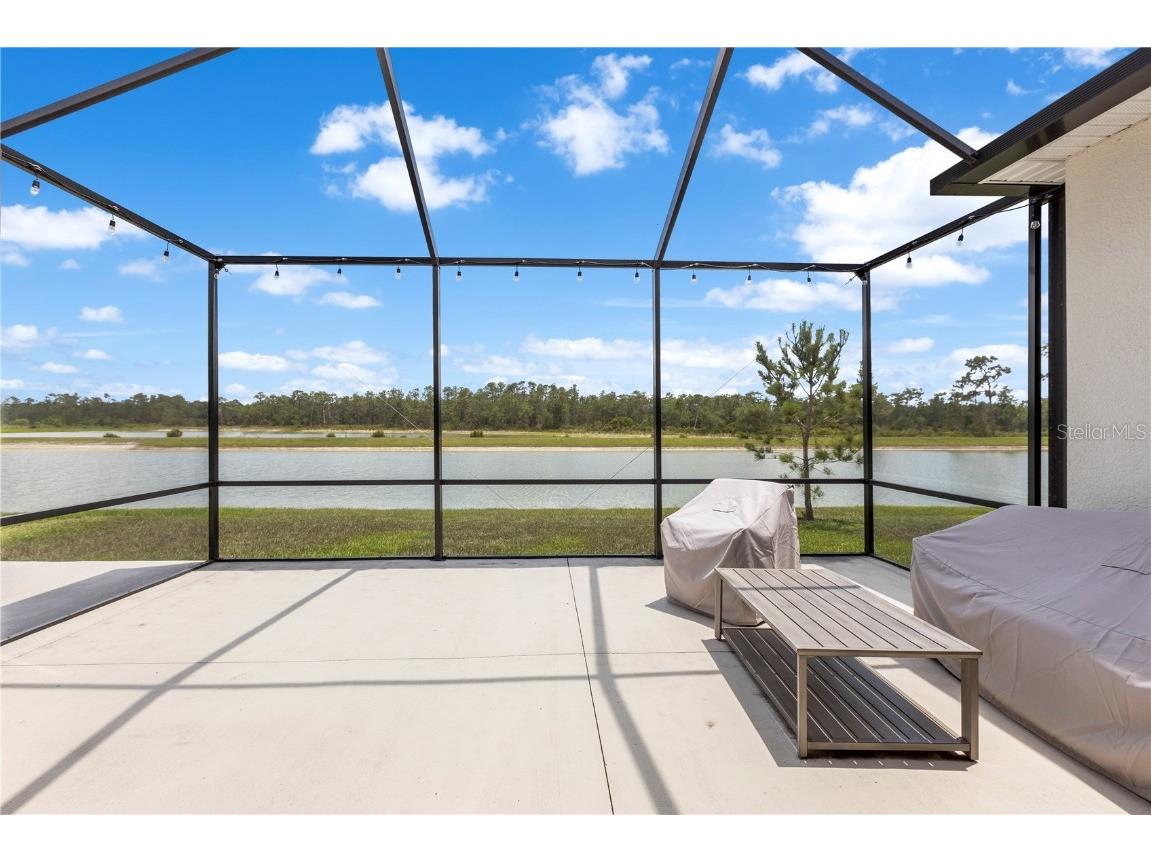 33700 Hamilton Hill Lane Wesley Chapel FL 33545 TB8452949 image36