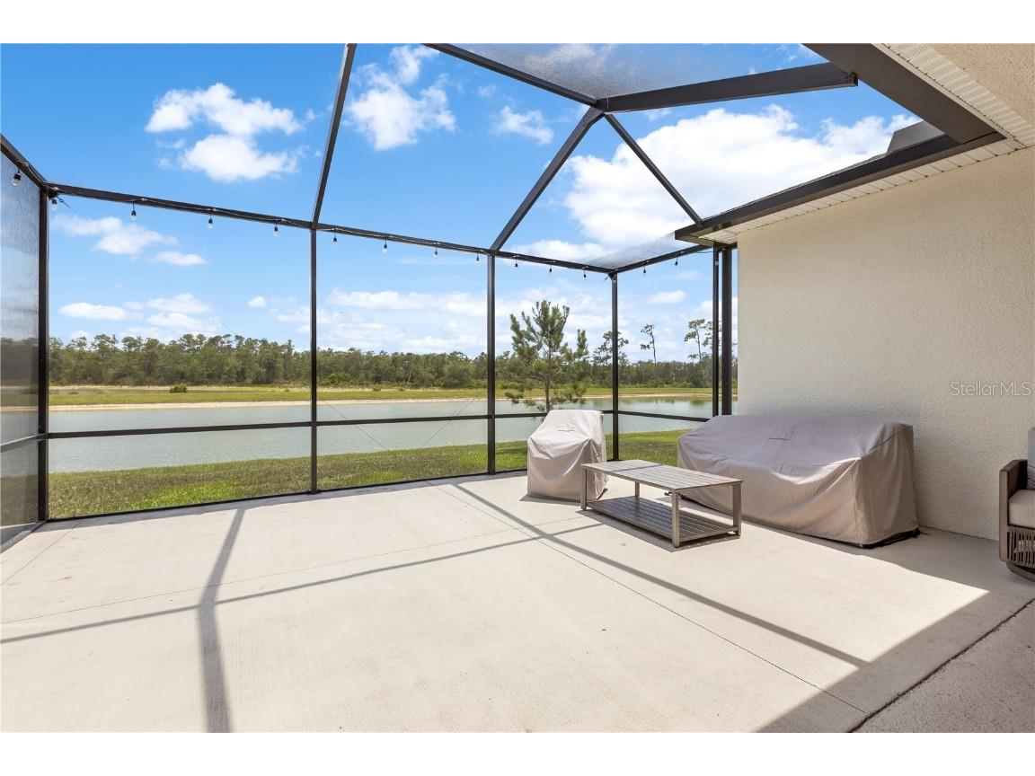 33700 Hamilton Hill Lane Wesley Chapel FL 33545 TB8452949 image38