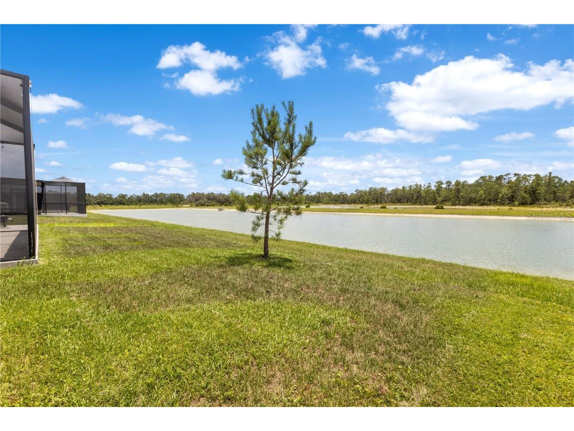 33700 Hamilton Hill Lane Wesley Chapel FL 33545 TB8452949 image46