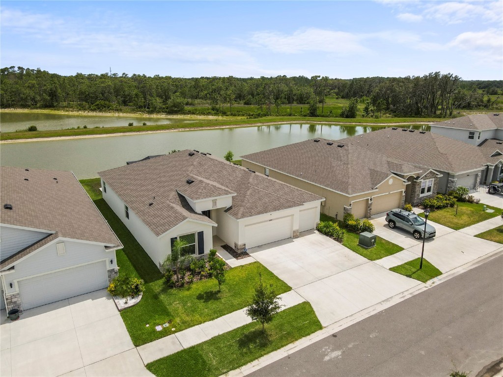 33700 Hamilton Hill Lane Wesley Chapel FL 33545 TB8452949 image52