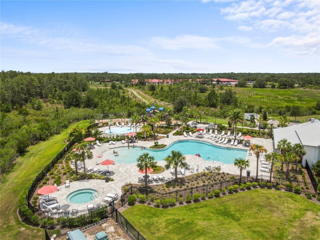 33700 Hamilton Hill Lane Wesley Chapel FL 33545 TB8452949 image55