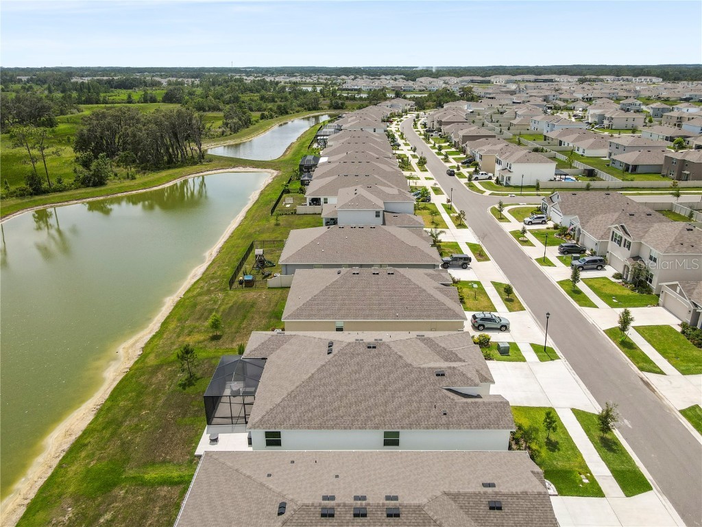 33700 Hamilton Hill Lane Wesley Chapel FL 33545 TB8452949 image62