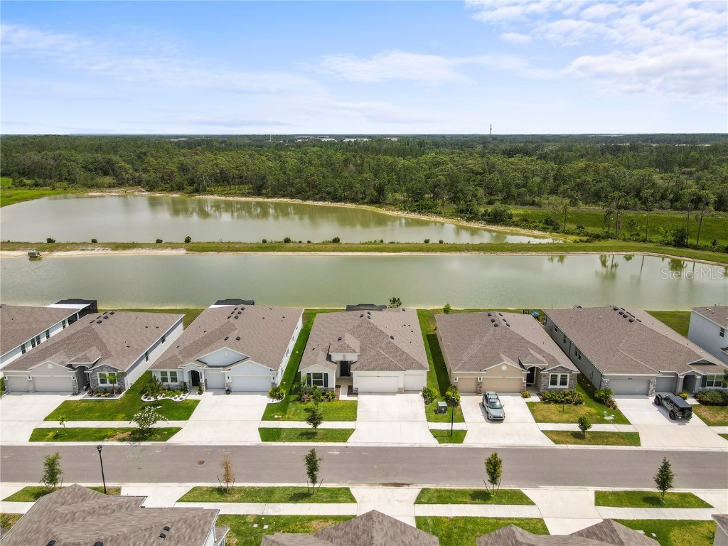 33700 Hamilton Hill Lane Wesley Chapel FL 33545 TB8452949 image64