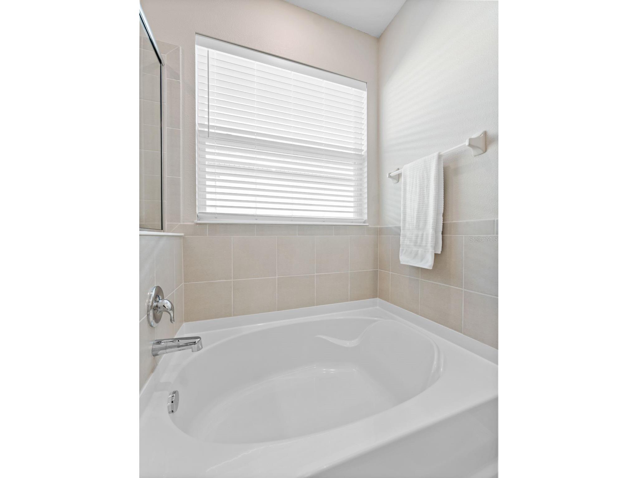 33700 Hamilton Hill Lane Wesley Chapel FL 33545 TB8492561 image12
